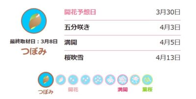 仙台ワイン会　開花状況